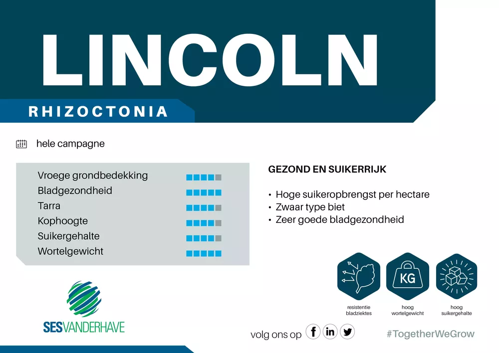 Sesvanderhave Nederland infoborden veldpanelen LINCOLN