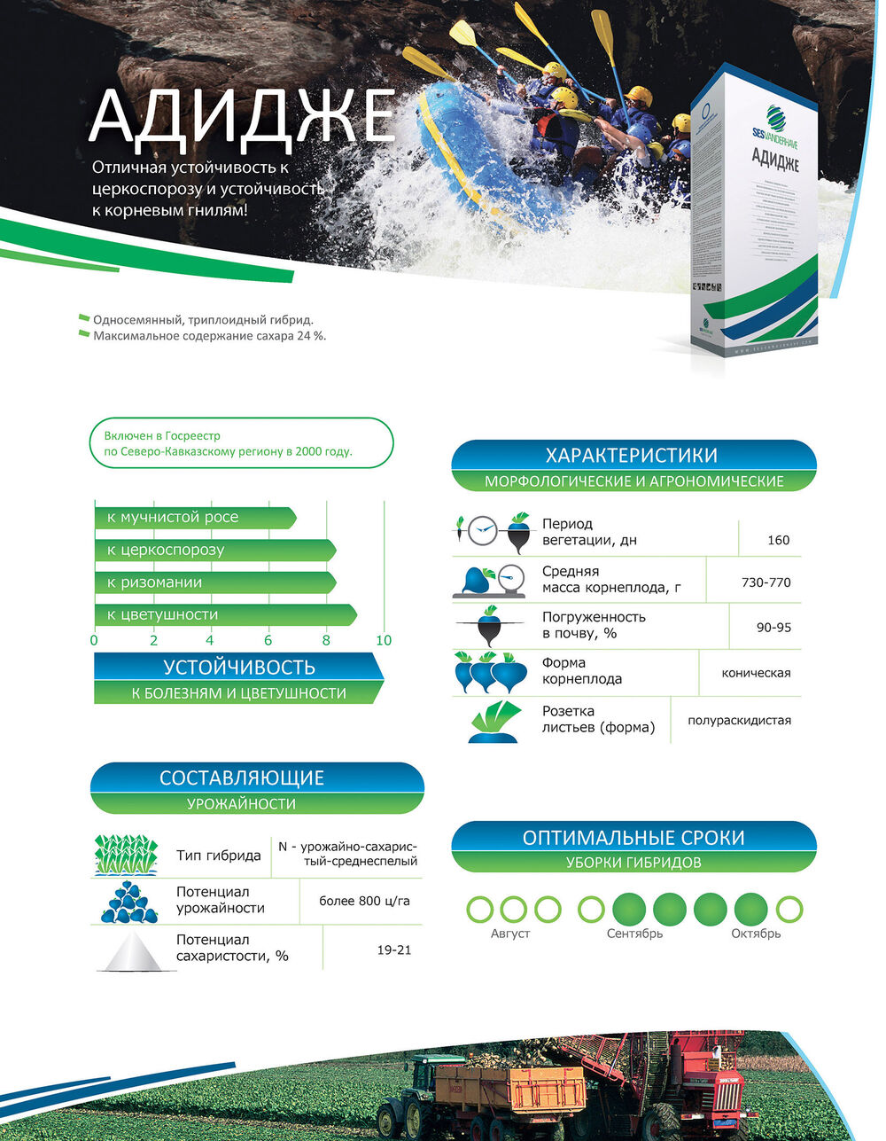 Сесвандерхаве Россия семена сахарной свеклы гибриды ADIGE