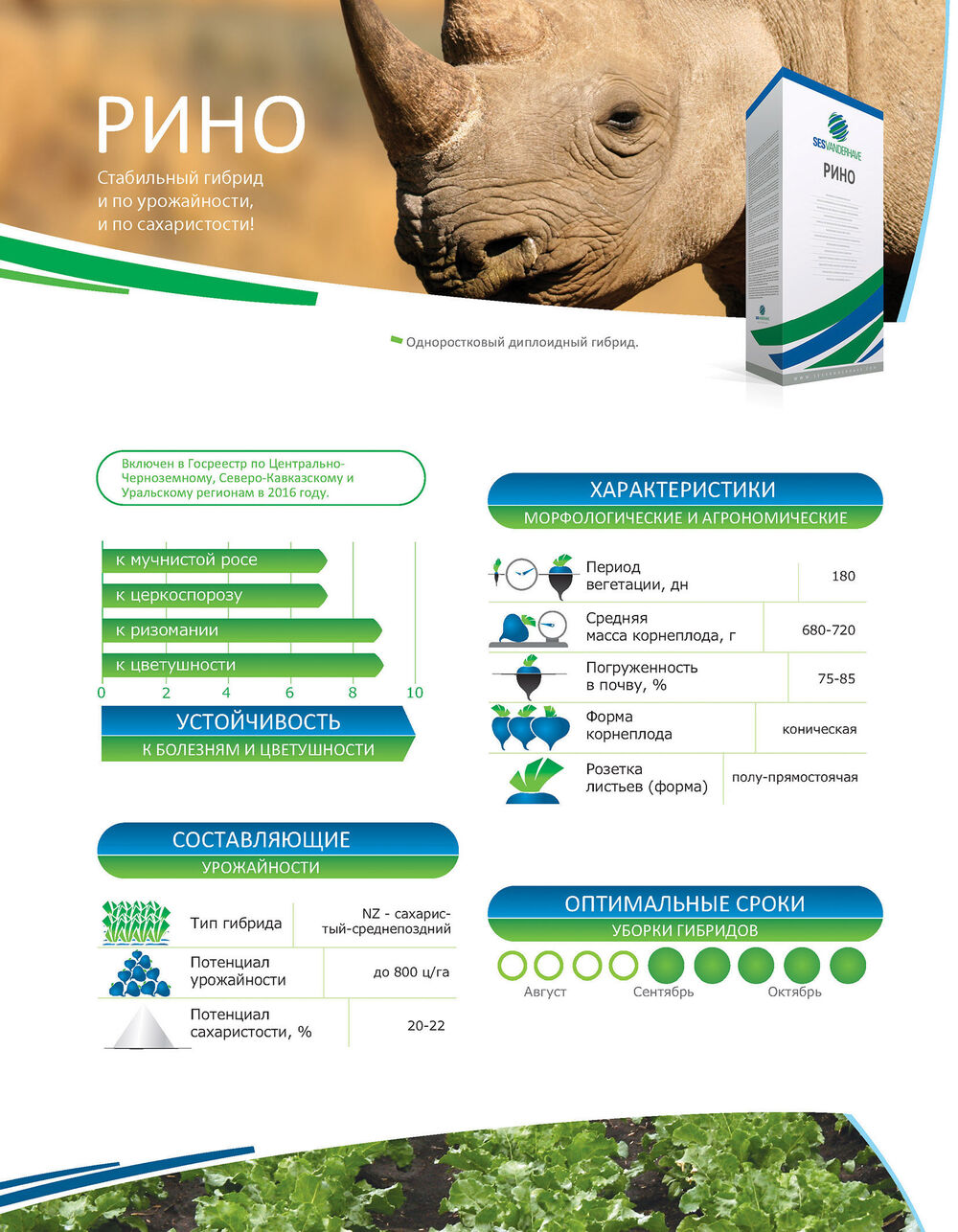 Сесвандерхаве Россия семена сахарной свеклы гибриды RHINO